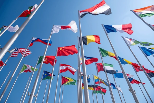Diplomatic Missions and International Organizations